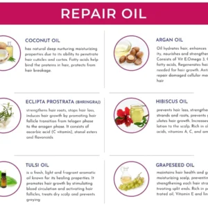 A detailed presentation of the ingredients in Repair Oil by HairSmart, including coconut oil, argan oil, eclipta prostrata, hibiscus oil, tulsi oil, and grapeseed oil, with their respective hair care benefits.