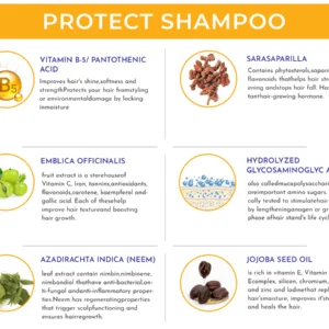 Ingredients of HairSmart shampoo with their benefits for hair.